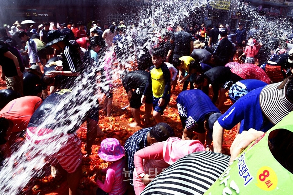 둔내 토마토축제
