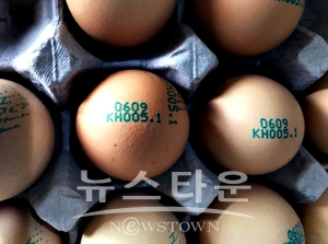 계란 산란일자 의무화