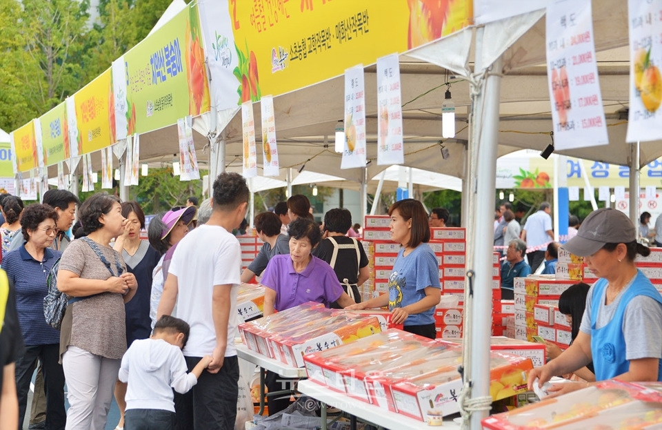 제20회 치악산복숭아축제