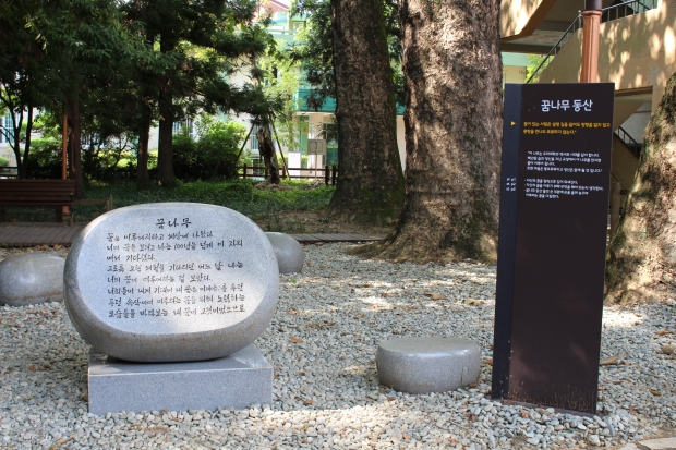 꿈동산