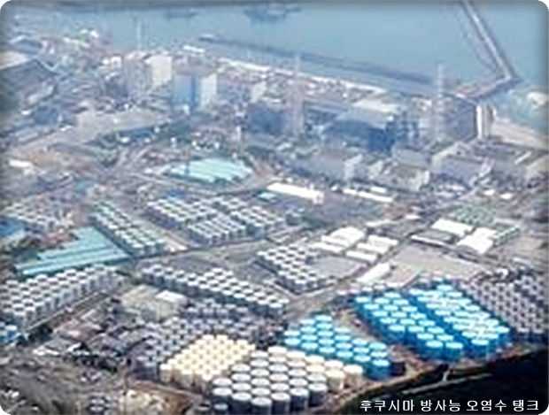 국제환경단체 그린피스의 숀 버니 독일사무소 수석 원자력 전문가는 지난 달 영국의 “이코노미스트”에 기고한 글에서 “일본의 아베 내각과 도쿄전력이 후쿠시마 제1 원전에 쌓여있는 고준위 방사성 오염수 100만 톤 이상을 태평양에 방류할 계획을 추진하고 있다”면서 “특히 한국은 위험에서 벗어나기 어렵다”고 발언을 해 큰 파문이 일고 있다.