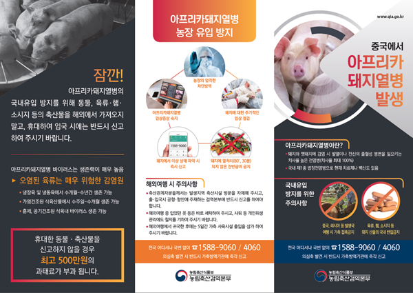아프리카 돼지열병 (사진 : 농림축산식품부)