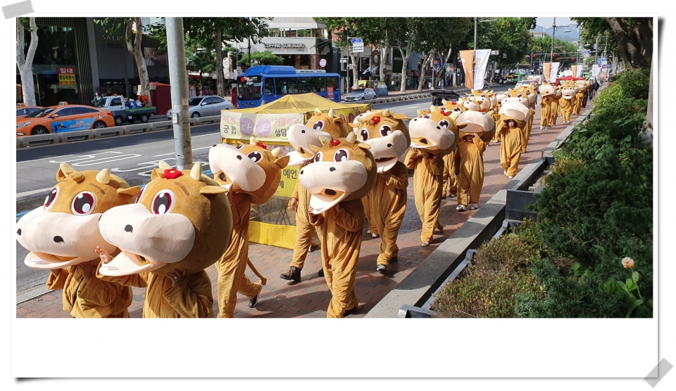 횡성한우축제 홍보 활동