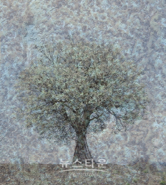 김종범 '더, More'展(김한정 기자)