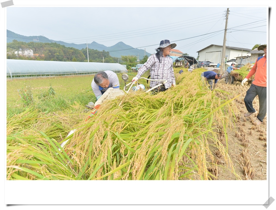 축제를 준비하는 농촌지도자원주시연합회 읍.면 회장단