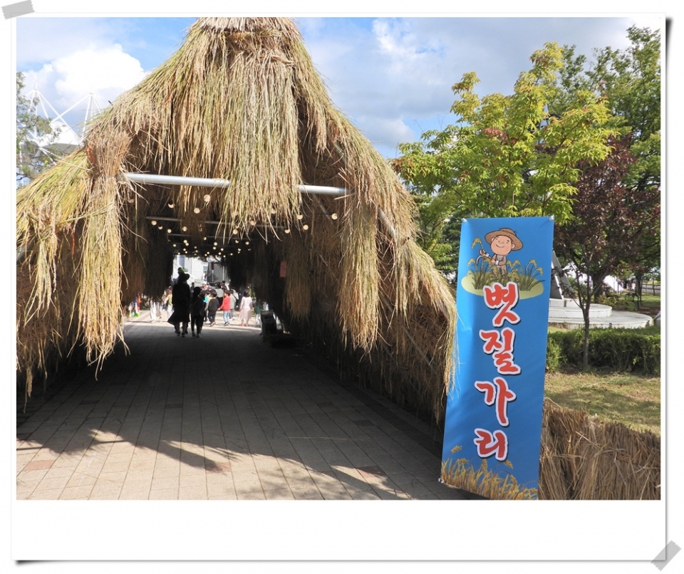 원주 삼토패스티벌축제