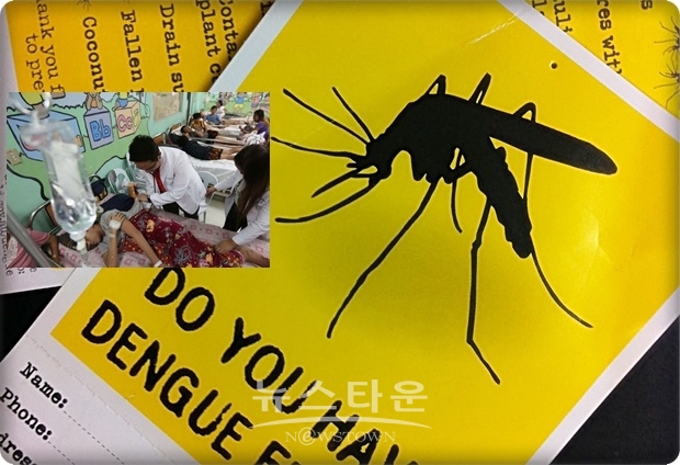 필리핀 현지 일간지 8일자 보도에 따르면, 필리핀 보건부는 올해 들어 지난 9월 14일까지 전국에서 30만 7,704명이 뎅기열에 걸렸으며, 이 가운데 1천247명이 사망했다고 밝혔다.