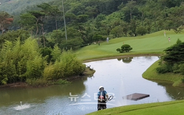 [뉴스타운]