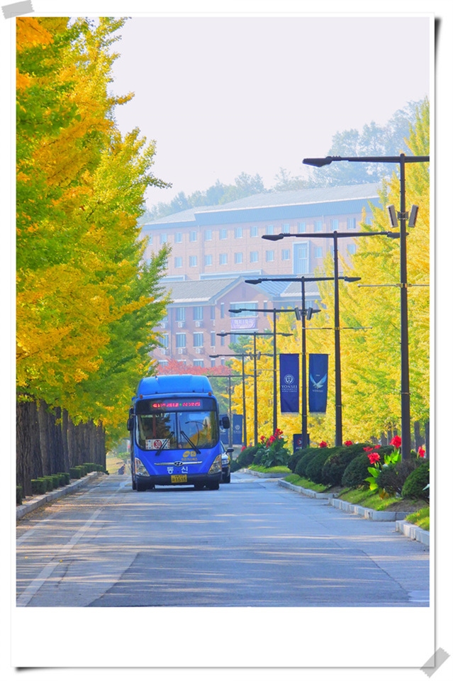 연세대 미래캠퍼스 가을풍경