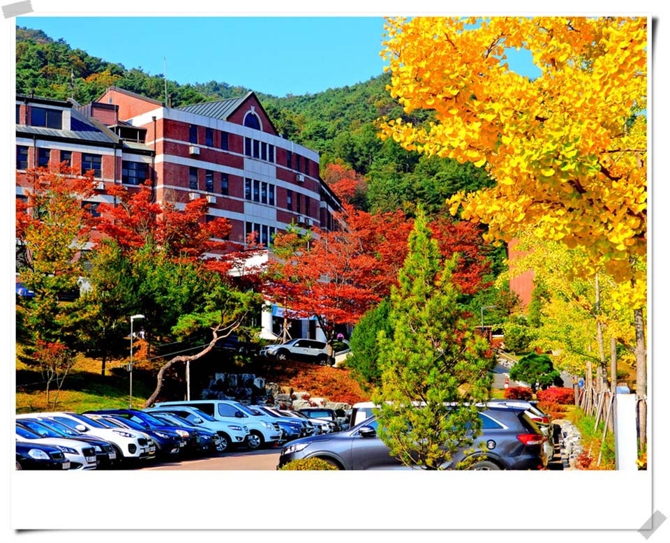 연세대 미래캠퍼스 가을풍경