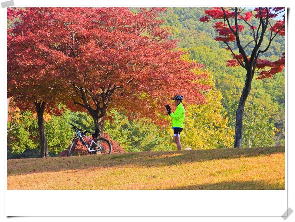 연세대 미래캠퍼스 가을풍경