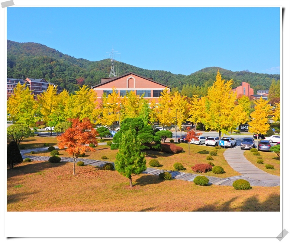 연세대 미래캠퍼스 가을풍경