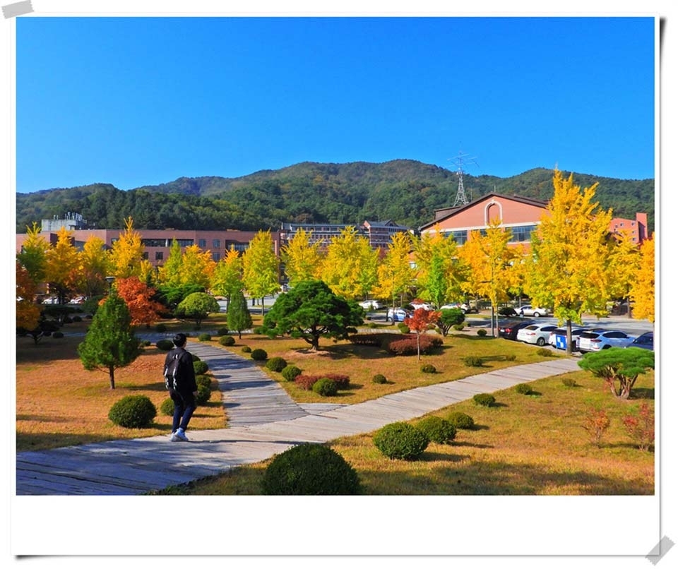 연세대 미래캠퍼스 가을풍경