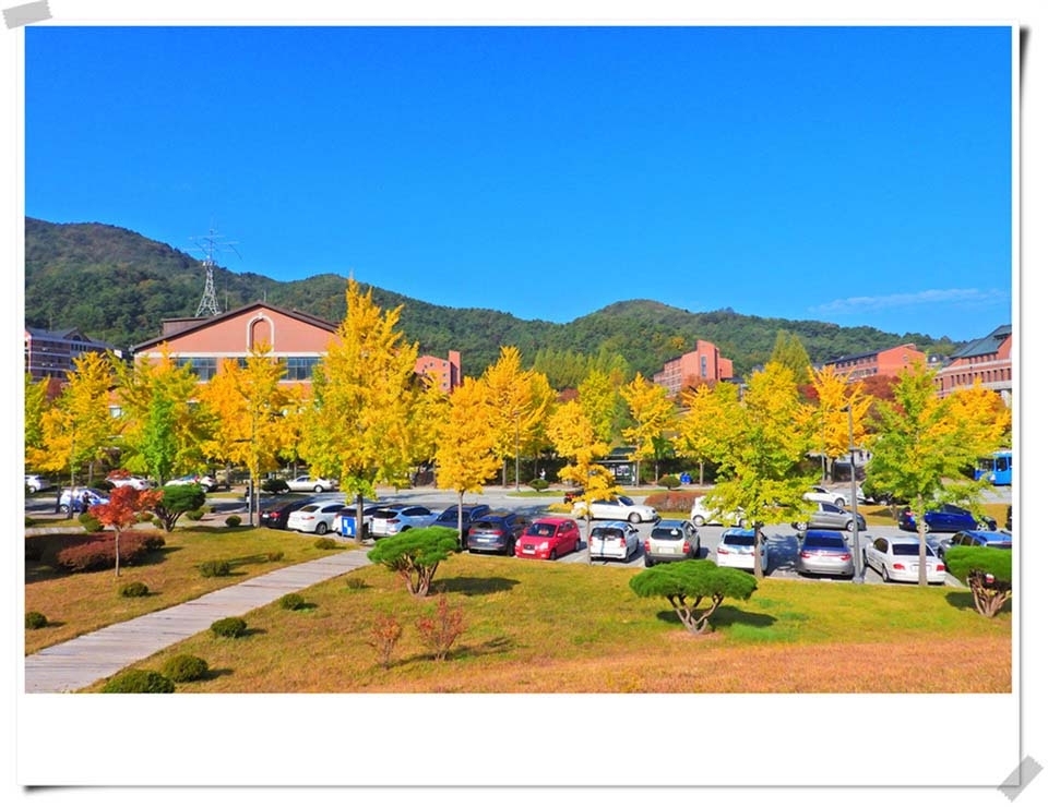 연세대 미래캠퍼스 가을풍경