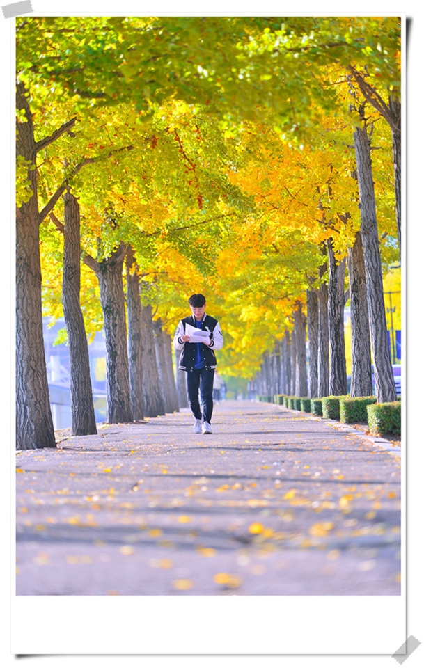 연세대 미래캠퍼스 가을풍경