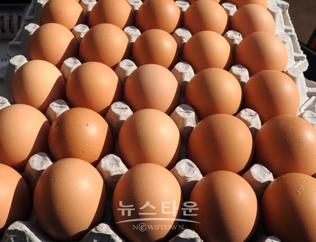 자료사진