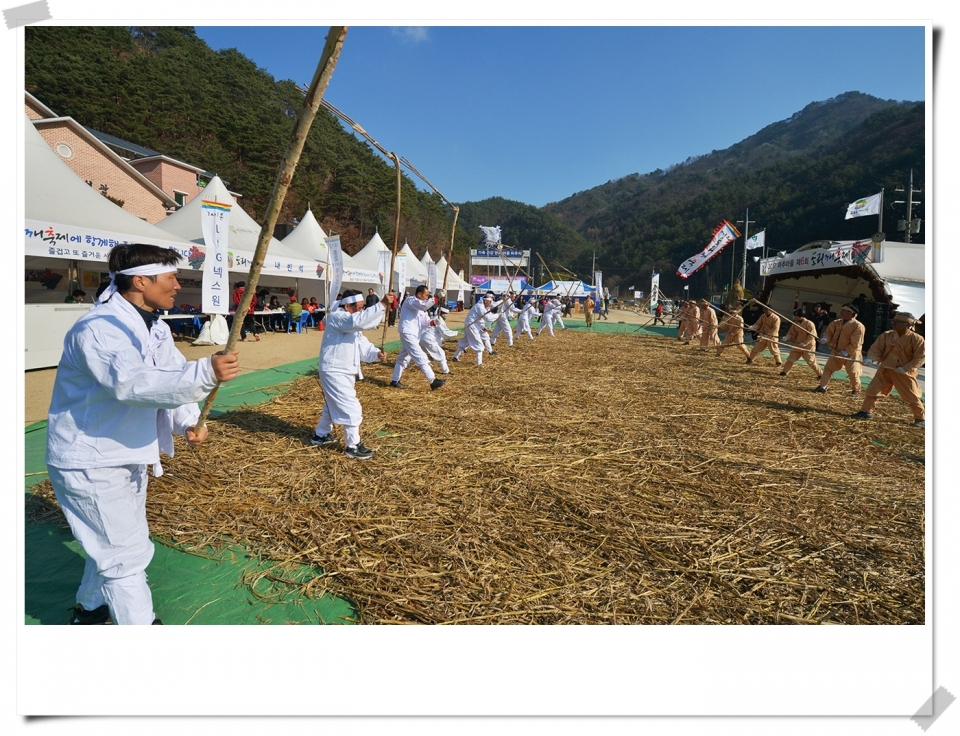 지난해 축제 자료사진임