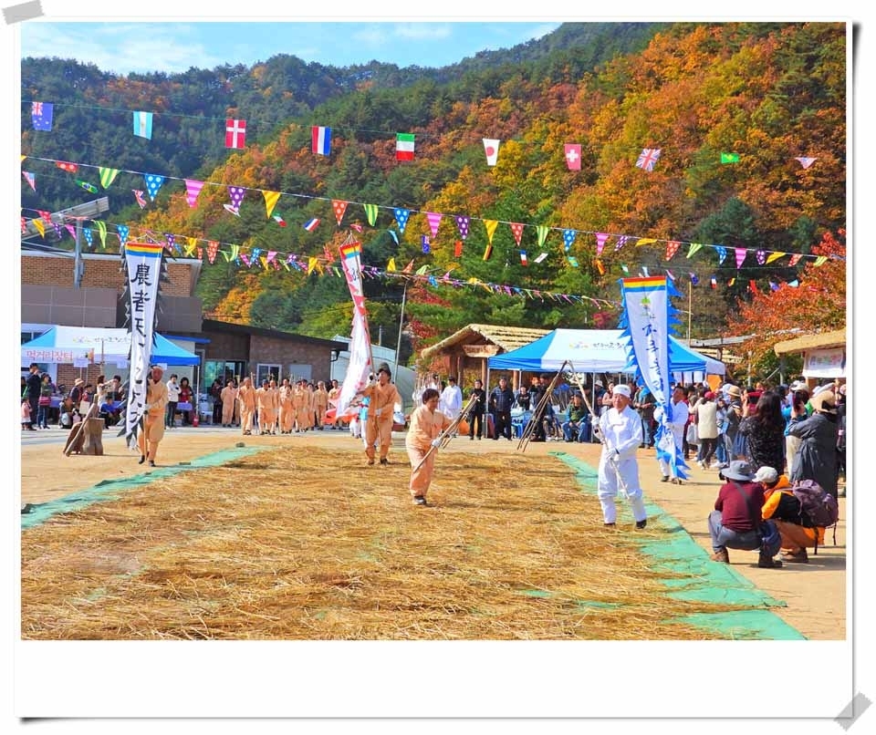 인제읍 하추리체험마을 제8회 도리깨축제
