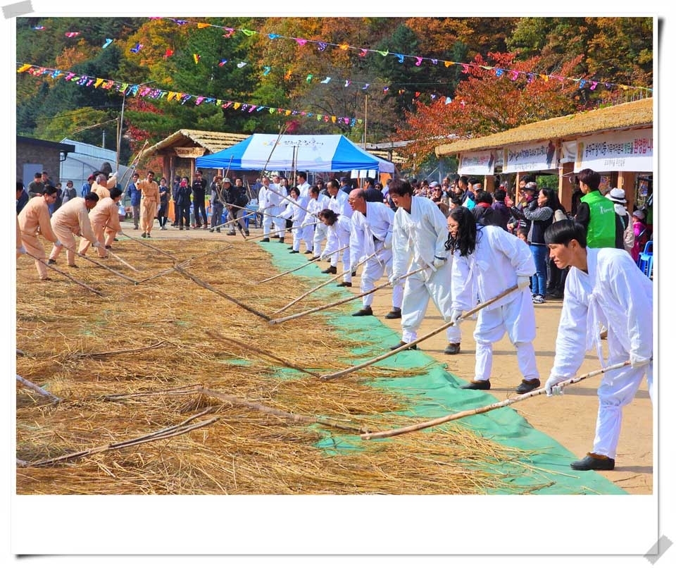 인제읍 하추리체험마을 제8회 도리깨축제