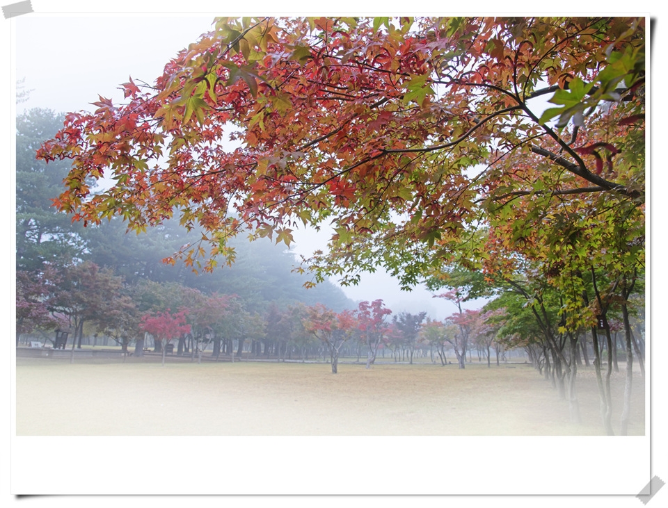 사진 : 남이섬 제공