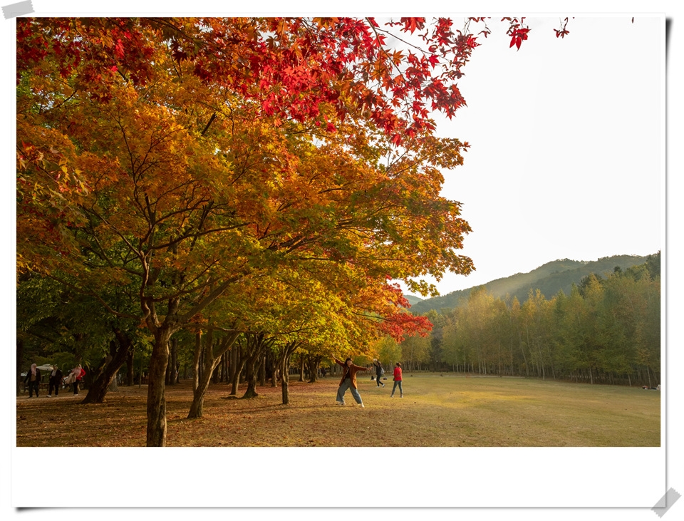 사진 : 남이섬 제공
