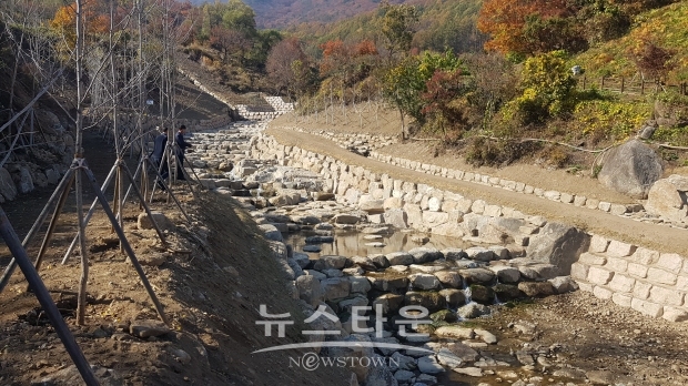 경북 영주 산림유역 관리 사업지 현장