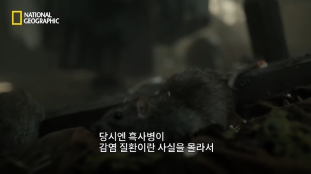 (사진 : 내셔널 지오그래픽 유튜브 캡처)