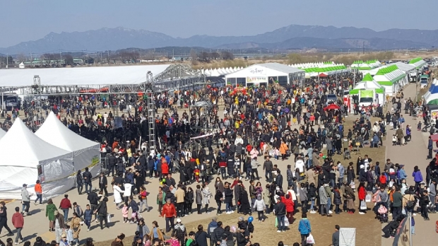 2019 딸기축제장