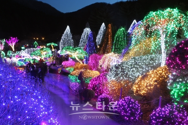 오색별빛정원전