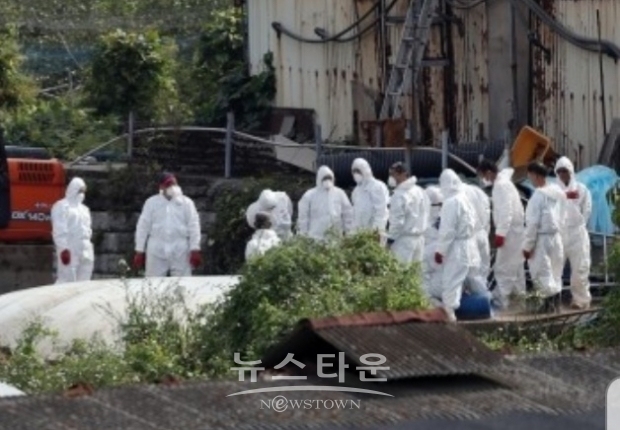 [양돈협회 사진제공]