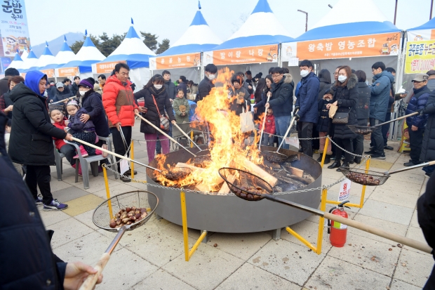 2019 겨울공주 군밤축제