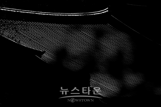 원춘호 사진전 ‘천년 와(瓦)’(김한정 기자)