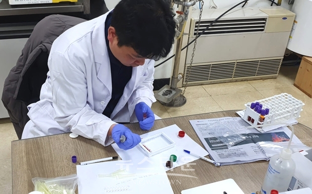 한우농가 조기 임신진단 서비스