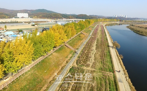 곡교천