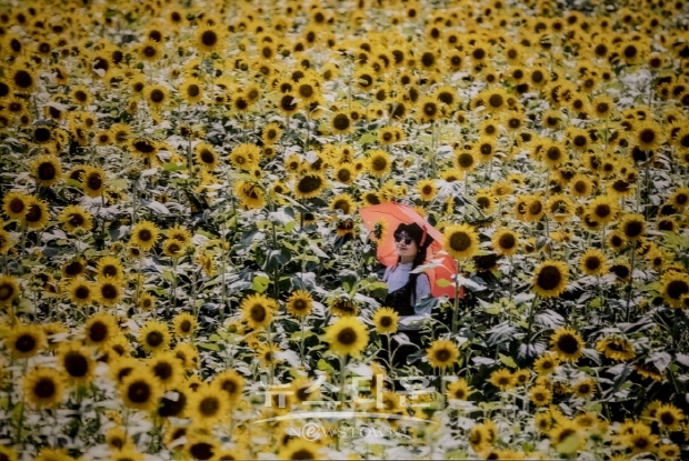 강의구 베트남 사진전 ‘시간이 담긴 풍경’(김한정 기자)
