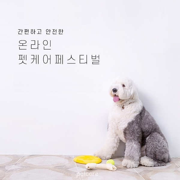 (사진 : 펫케어)