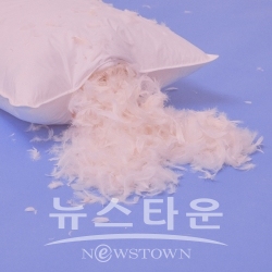 체리콕 싱글 앨범 [베개] 커버 / 고득용기자 ⓒ뉴스타운