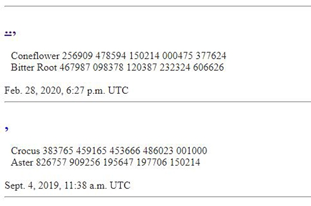 지난해 2월 스페인 주재 북한 대사관을 습격한 반북단체 ‘자유조선’이 지난 2월 28일 오후6시27분(세계표준시 UTC 기준) 홈페이지에 꽃 종류인 ‘루드베키아’(Coneflower)와 ‘쓴 뿌리’(Bitter Root)란 문구와 숫자들을 돌연 게재했다. ‘자유조선’ 웹사이트 캡처