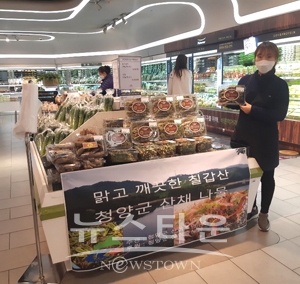 청양지역 청정산채 판매