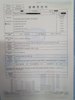 피해자의 상해 8주 진단서