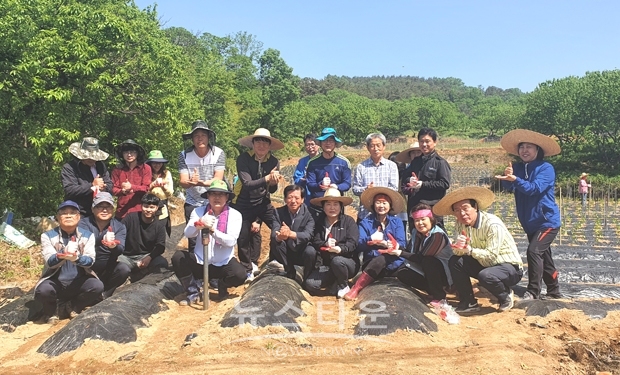 청양군의회가 5월 13일 청양군 장평면 은곡리 소재 농가를 찾아 농촌 일손 돕기를 실시했다.