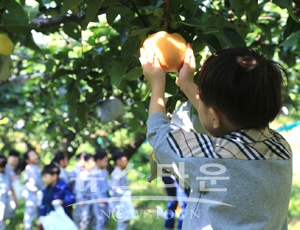 기쁨두배마을 배따기 체험
