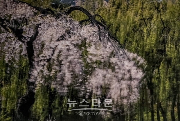 박종현 사진작가의 ‘바람의 꿈’(김한정 기자)