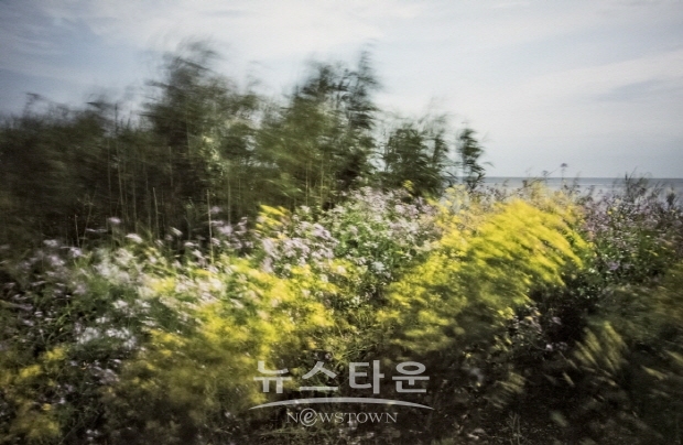 박종현 사진작가의 ‘바람의 꿈’(김한정 기자)