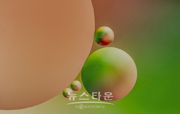 강향옥 사진작가의 ‘5월의 왈츠’(김한정 기자)