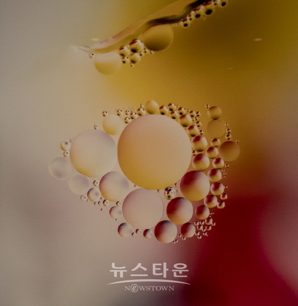 강향옥 사진작가의 ‘5월의 왈츠’(김한정 기자)