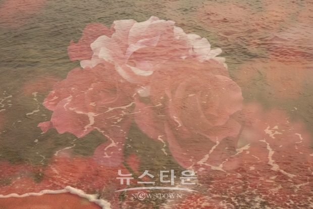 이정미 사진작가의 ‘아름다운 동행’ 전(김한정 기자)