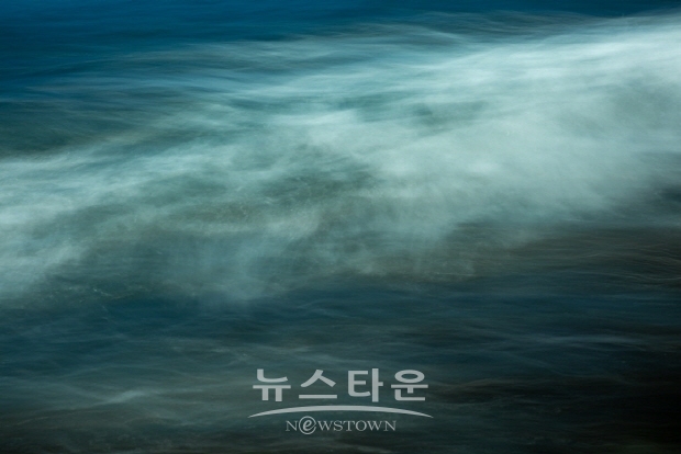 이정미 사진작가의 ‘아름다운 동행’ 전(김한정 기자)