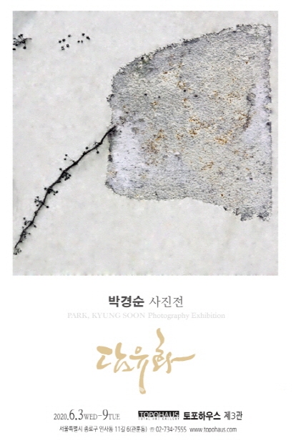 박경순 사진작가 ‘담유화’전(김한정 기자)