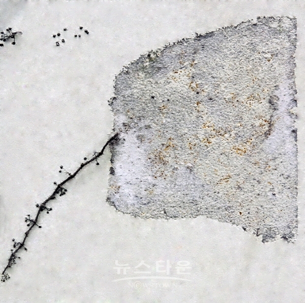 박경순 사진작가 ‘담유화’전(김한정 기자)